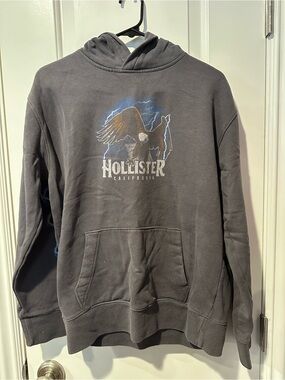 Hollister Charcoal Pullover Hoodie with Eagle Graphic